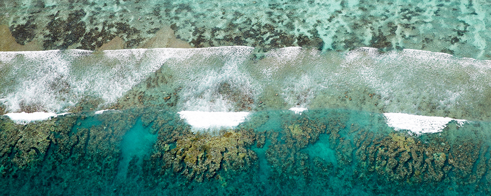Korallenbänke im Pazifischen Ozean Foto: Robert Schmiegelt
